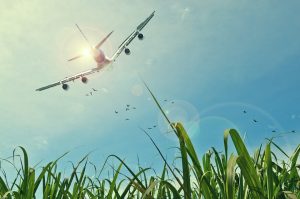 avion qui signifie l'expatriation